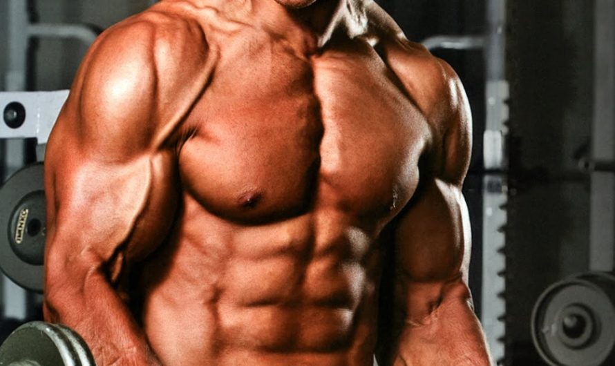 Anadrole Review on the Legal Steroid Alternative Crazybulk
