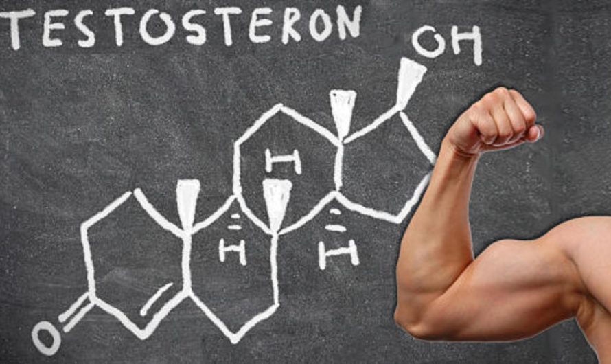 My review of the best testosterone booster of 2020